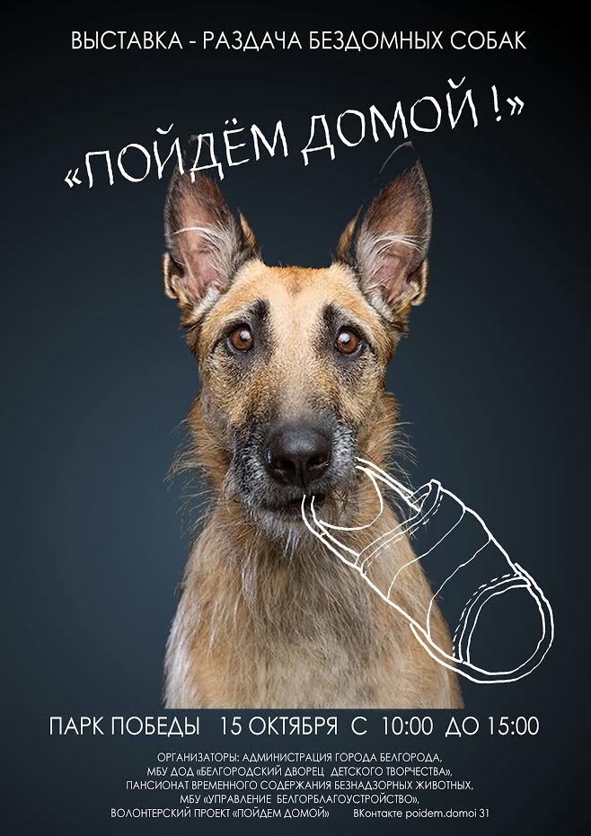 Песня хочу собачку. Раздача собак. Раздавали собаку. Выставка в парке победе Ульяновск бездомных животных. Выставка собак пойдем домой Белгород.
