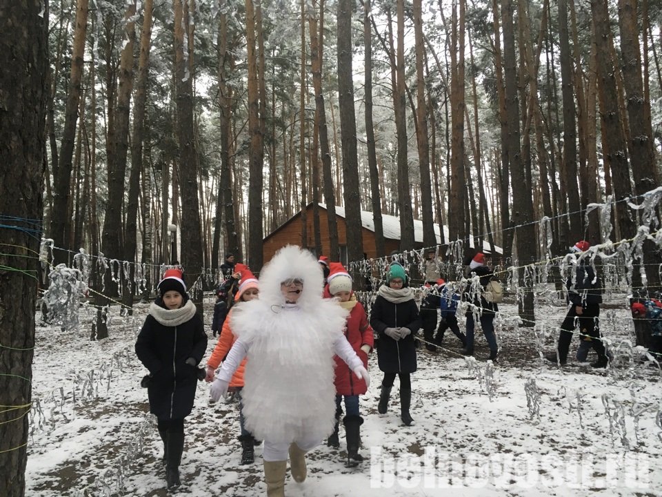 Унгор Новогодние Подарки Унгор Новогодние Подарки