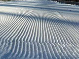 В Белгороде лыжную трассу «Олимпия» готовят к новому сезону - Изображение 6