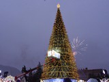 В Белгороде торжественно открыли главную ёлку региона - Изображение 9