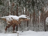 На новогодних каникулах белгородцы смогут посетить парк динозавров - Изображение 3