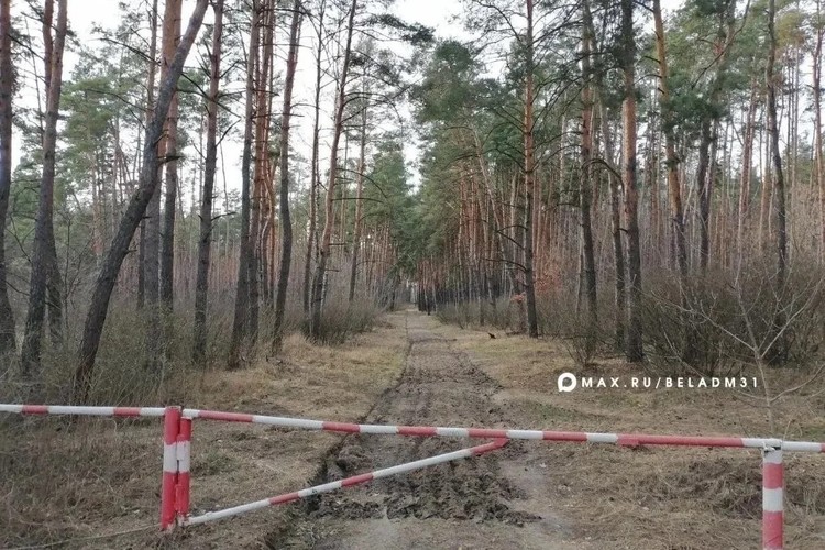 В Белгородской области уровень пожарной опасности остаётся высоким
