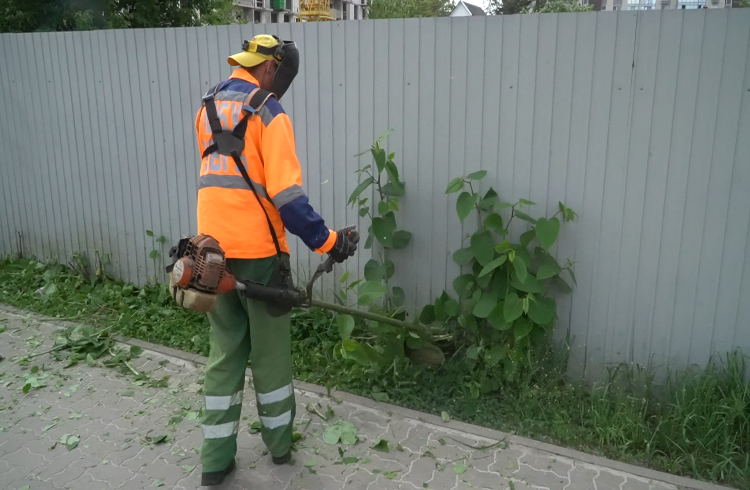 Белгород активно готовят к летнему сезону