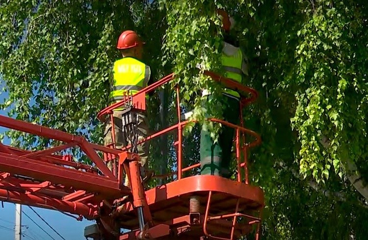 Белгородские коммунальщики приводят в порядок дорожные знаки и светофоры возле детсадов и школ
