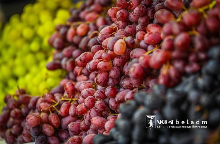 Мэр Валентин Демидов поделился очередной подборкой самых низких цен на востребованные продукты в Белгороде