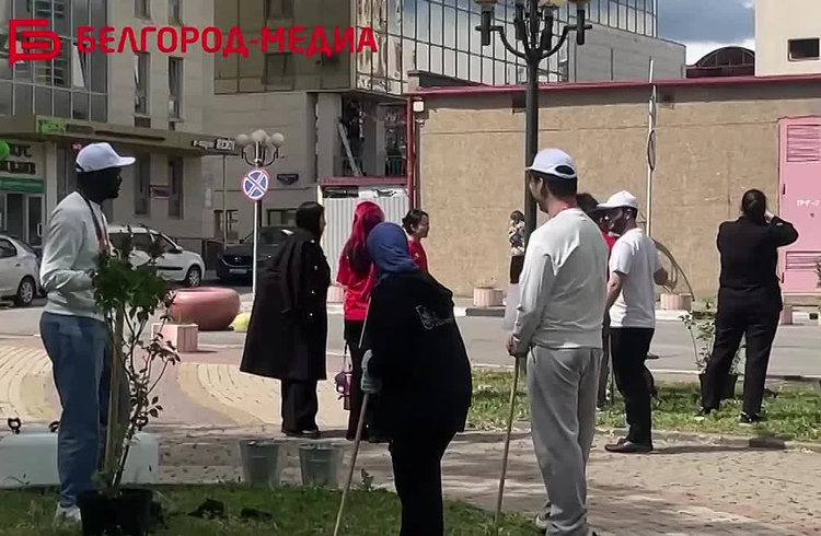 В Белгороде студенты-иностранцы высадили на аллее цветущие кусты сирени