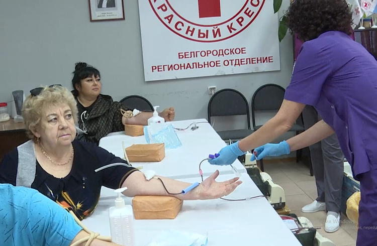 Белгородцы регулярно сдают кровь в отделении Красного Креста