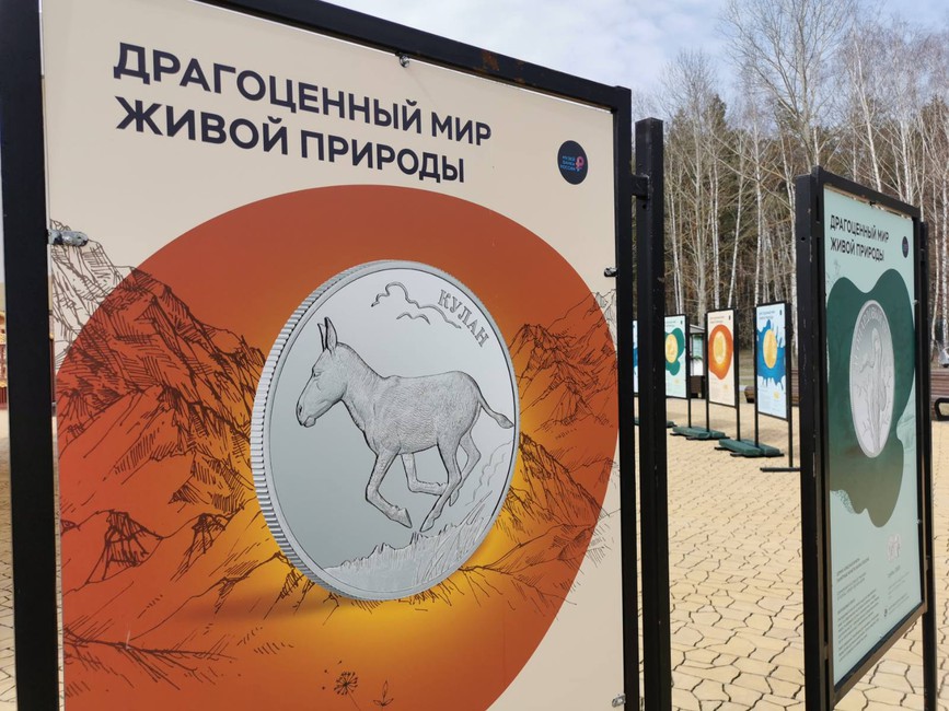В Белгородском зоопарке открылась фотовыставка монет «Драгоценный мир живой природы» - Изображение 3