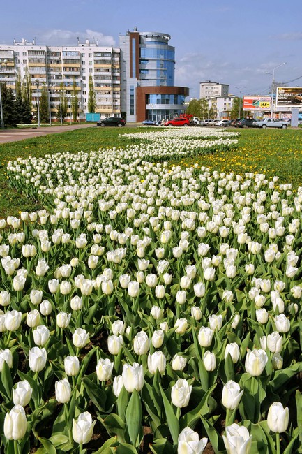 В Белгороде открывается персональная фотовыставка Владимира Бочкарёва - Изображение 19